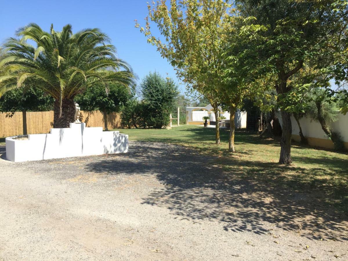 El Rocio 1 Gites Equestre Saintes-Maries-de-la-Mer Exterior photo